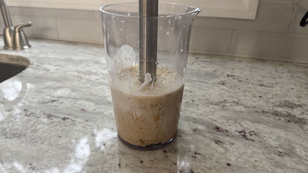 Ninja Power Duo Immersion Blender with Whisk making frozen yogurts