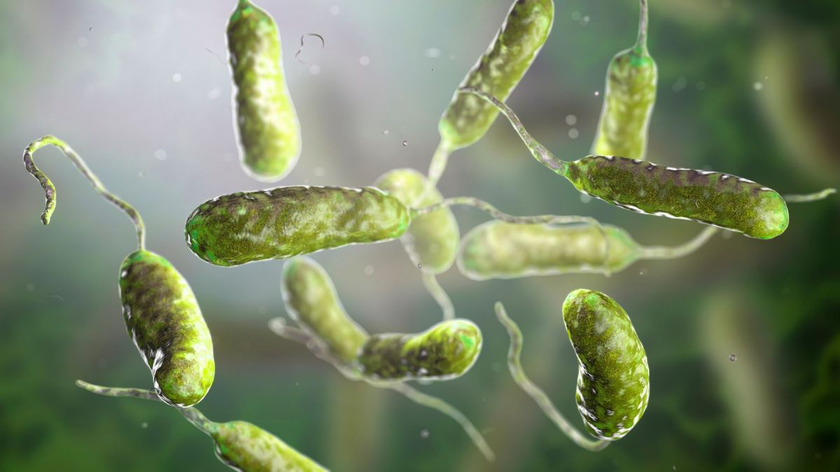 illustration of rod-shaped, green bacteria on a cloudy background