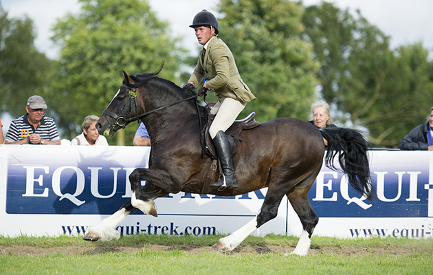 Ross Keys riding Dycott Welsh King