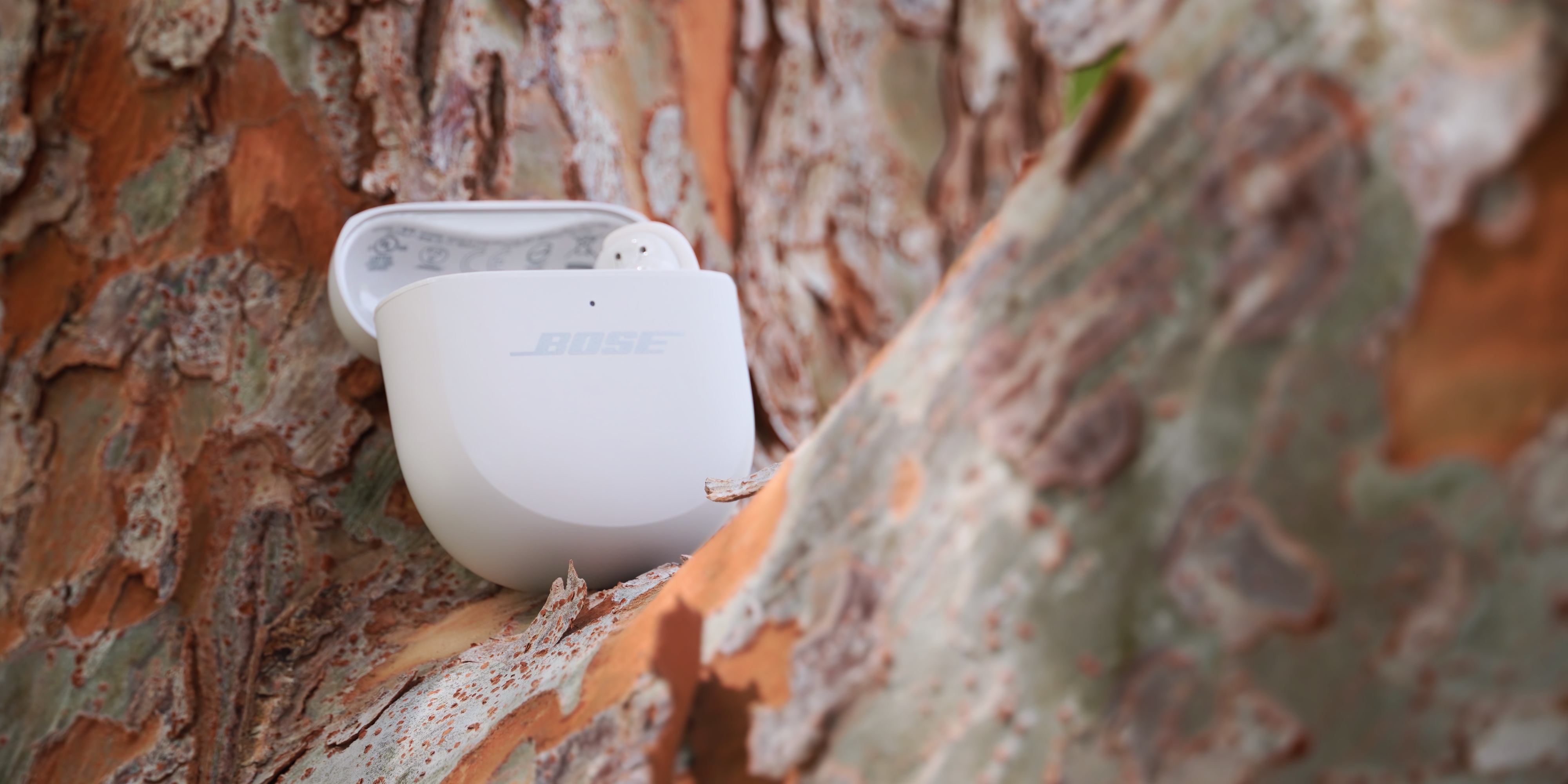 The Bose QuietComfort Ultra Gen 2 earbuds in their case in a tree.