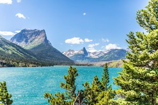 GuruShots - March 2026