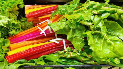 bunches of bright colored rainbow chard 