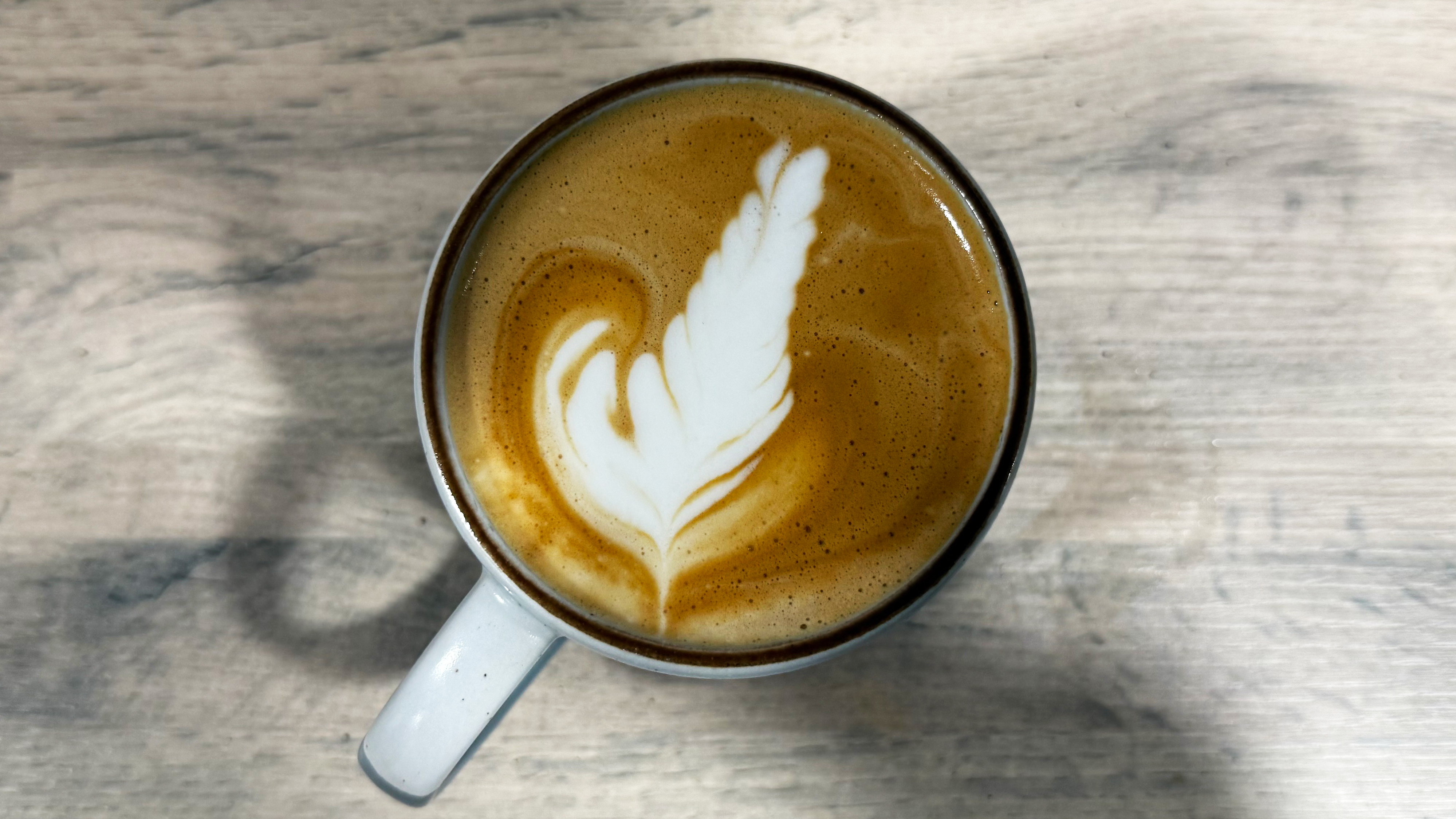 a photo of a latte made on the casabrews 3700 essential espresso machine