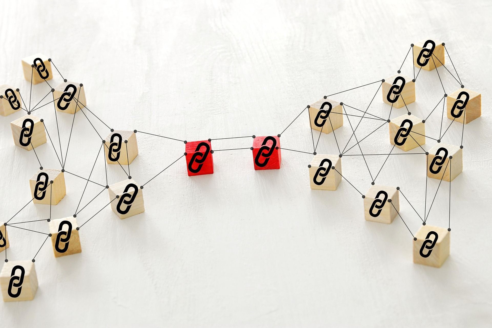 How to automate backlink monitoring for your website