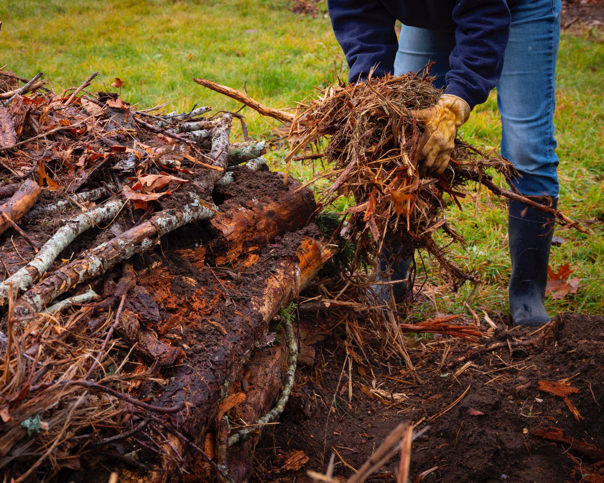 Gardener constructs hugelkultur raised bed