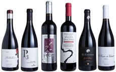 Spanish Mencía wines