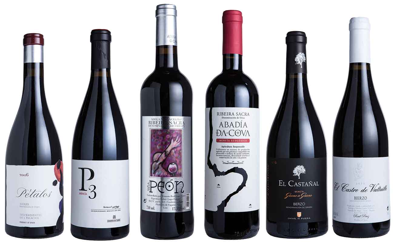 Spanish Menc&iacute;a wines