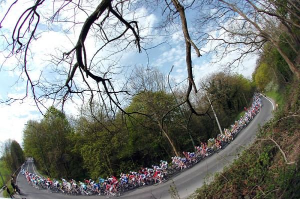 The peloton rolls through the Belgian Ardennes countryside.
