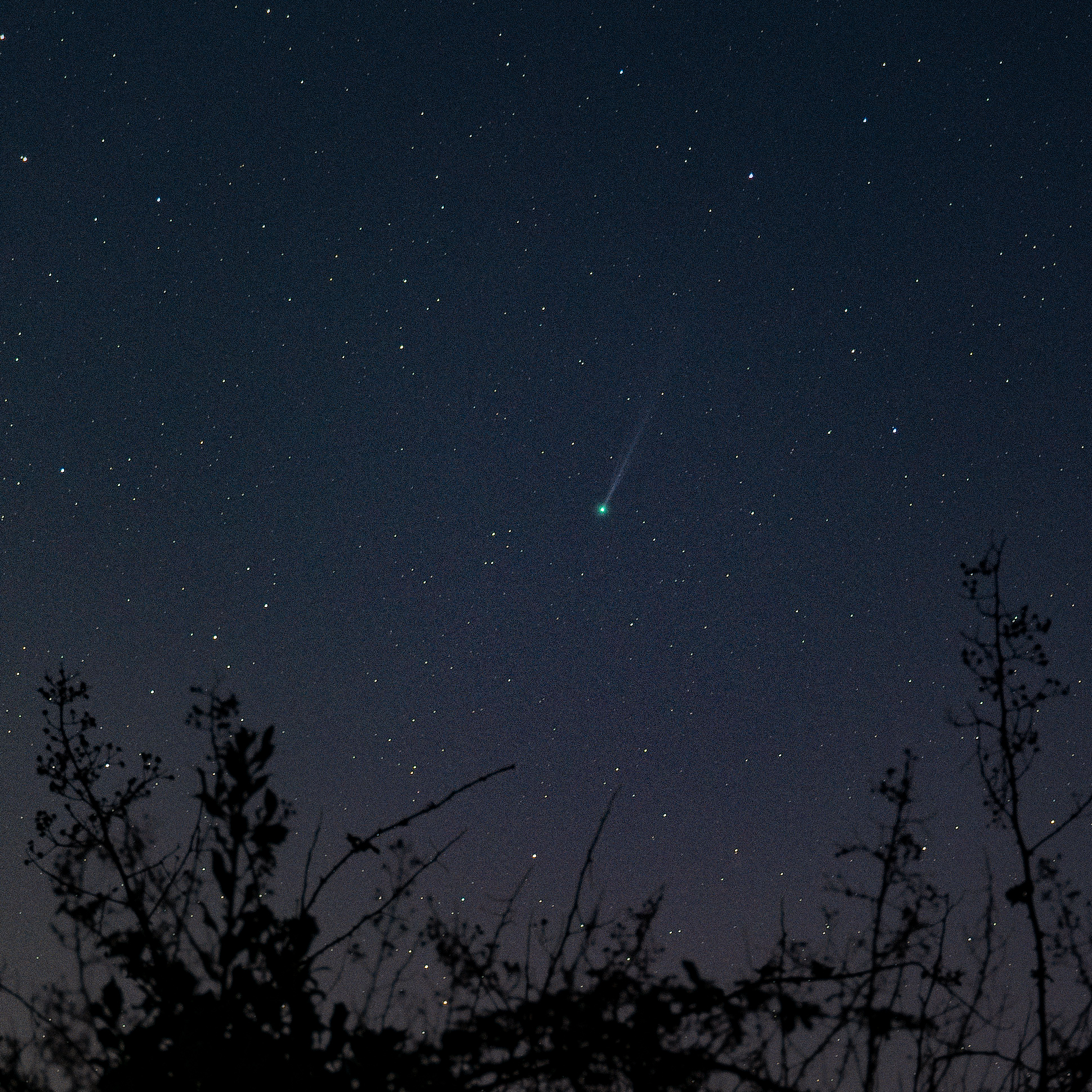 Comet shot using iOptron SkyGuider Pro