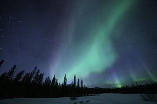 The northern lights in the sky as seen near Whitehorse in Yukon, Canada.