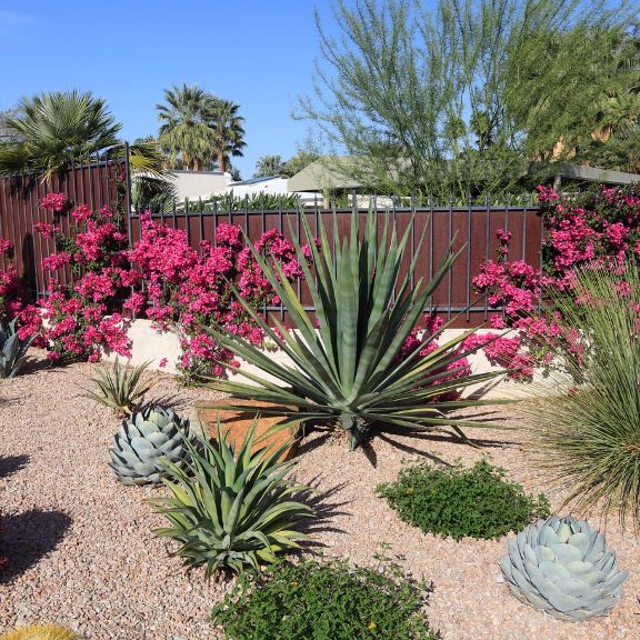Weighing The Benefits And Problems With Xeriscaping | Gardening Know How