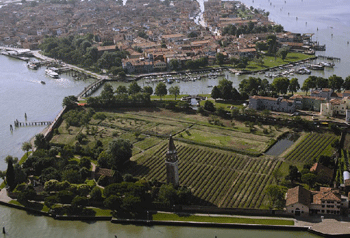 Bisol vineyards on Mazzorbo