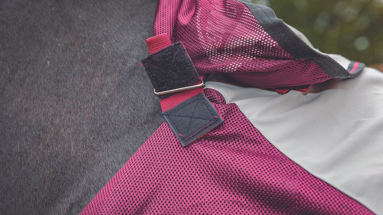 Horseware Rambo Summer Series&nbsp;review