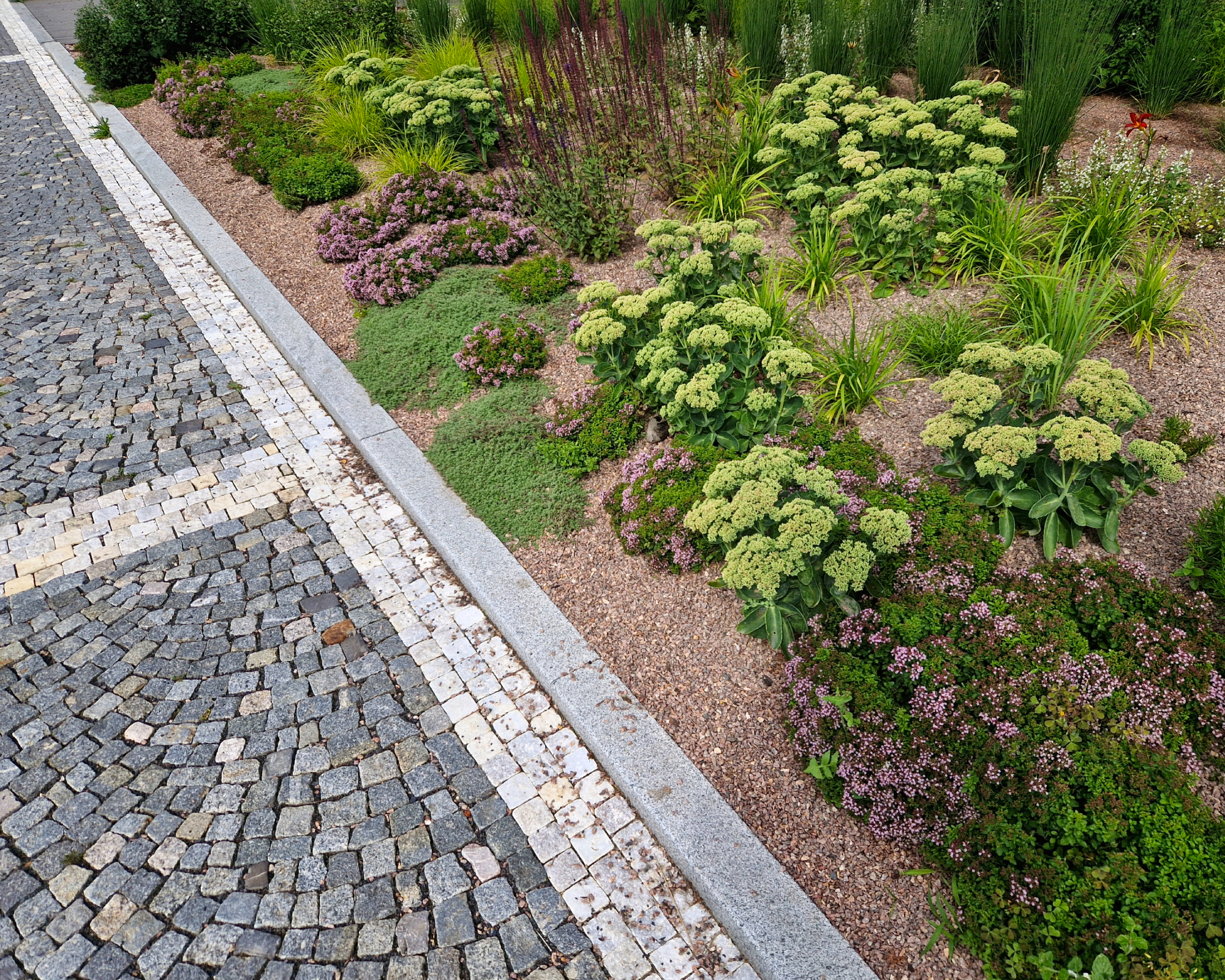 firescaping succulent planting in a garden