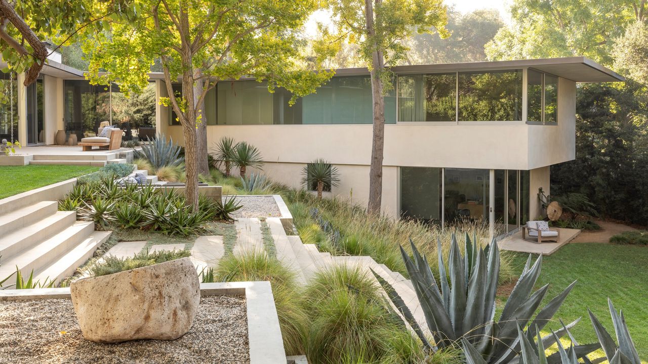 A garden featuring tropical plants, terracing and 