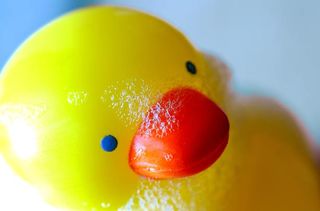 Rubber duck covered in bubble bath