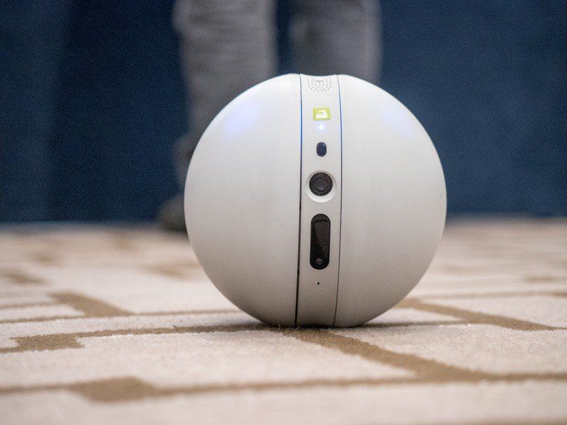 LG Roller Bot