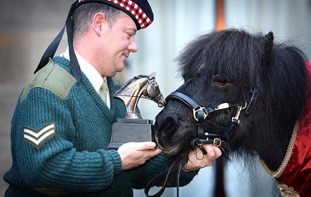 Photo Caption:-Pony Major Corporal Mark Wilkinson is responsible for the care, training and welfare of Cruachan III Shetland pony and former Royal Regiment of Scotland Mascot &amp;lsquo;Cruachan III&amp;rsquo; was awarded the &amp;lsquo;Tarragon Trophy&amp;rsquo; from The British Horse Society today at a special event held in Redford Barracks in Edinburgh. The &amp;lsquo;Tarragon Trophy&amp;rsquo; is the British Horse Society &amp;lsquo;Equine Personality&amp;rsquo; of the year award and is presented to horses or ponies that have contributed to the community, overcome hardship or deemed to have the personality worthy of the esteemed honour. Helene Mauchlen from the British Horse Society, said: &amp;ldquo;Every so often the BHS is privileged to meet an equine that has delivered untold benefit to humankind, and Cruachan is just that pony. &amp;ldquo;In his long life he has brightened the lives of so many people, from casual acquaintances at events, veterans and sick children and on top of that he does his day job of representing, inspiring and motivating our army. &amp;ldquo;He is a credit to all equines and an example of the untold good that horses and ponies provide. It is our pleasure and a privilege to present him with the Tarragon Trophy.&amp;rdquo; Shetland pony, Cruachan III, retired in 2012 at the age of 23 after nearly two decades of military service. For almost 17 years he took part in numerous military parades, Highland games and became a much loved addition to the cast of the Royal Edinburgh Military Tattoo. The endearing pony was also a personal favourite of Her Majesty The Queen and attended Balmoral Castle each year when she visited Scotland. Colonel Alastair Campbell, Regimental Secretary of The Royal Regiment of Scotland, said: &amp;ldquo;Cruachan III marched proudly with Scottish infantry soldiers on parade for 17 years, firstly with the Argyll and Sutherland Highlanders and then The Royal Regiment of Scotland. So we are extremely pleased that the British Horse Society has recognised his service drawing attention to the contribution of S
