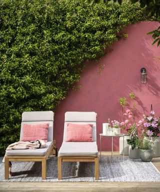 pink wall and sun loungers with planters