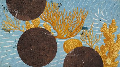 Illustrative collage of concrete blocks, coral and sea currents