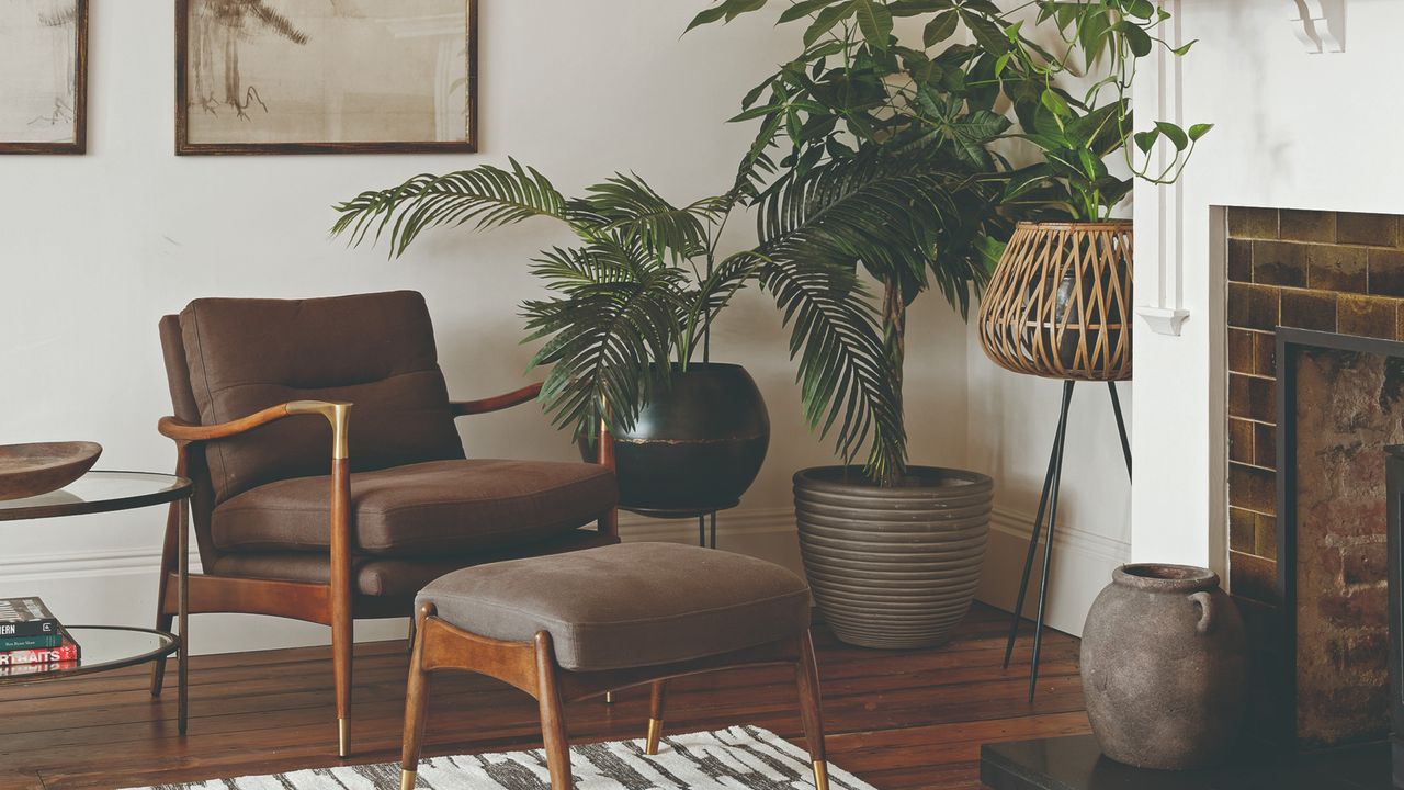 A white-painted living room with large potted houseplants and a mid-century modern style brown chair with a matching footstool