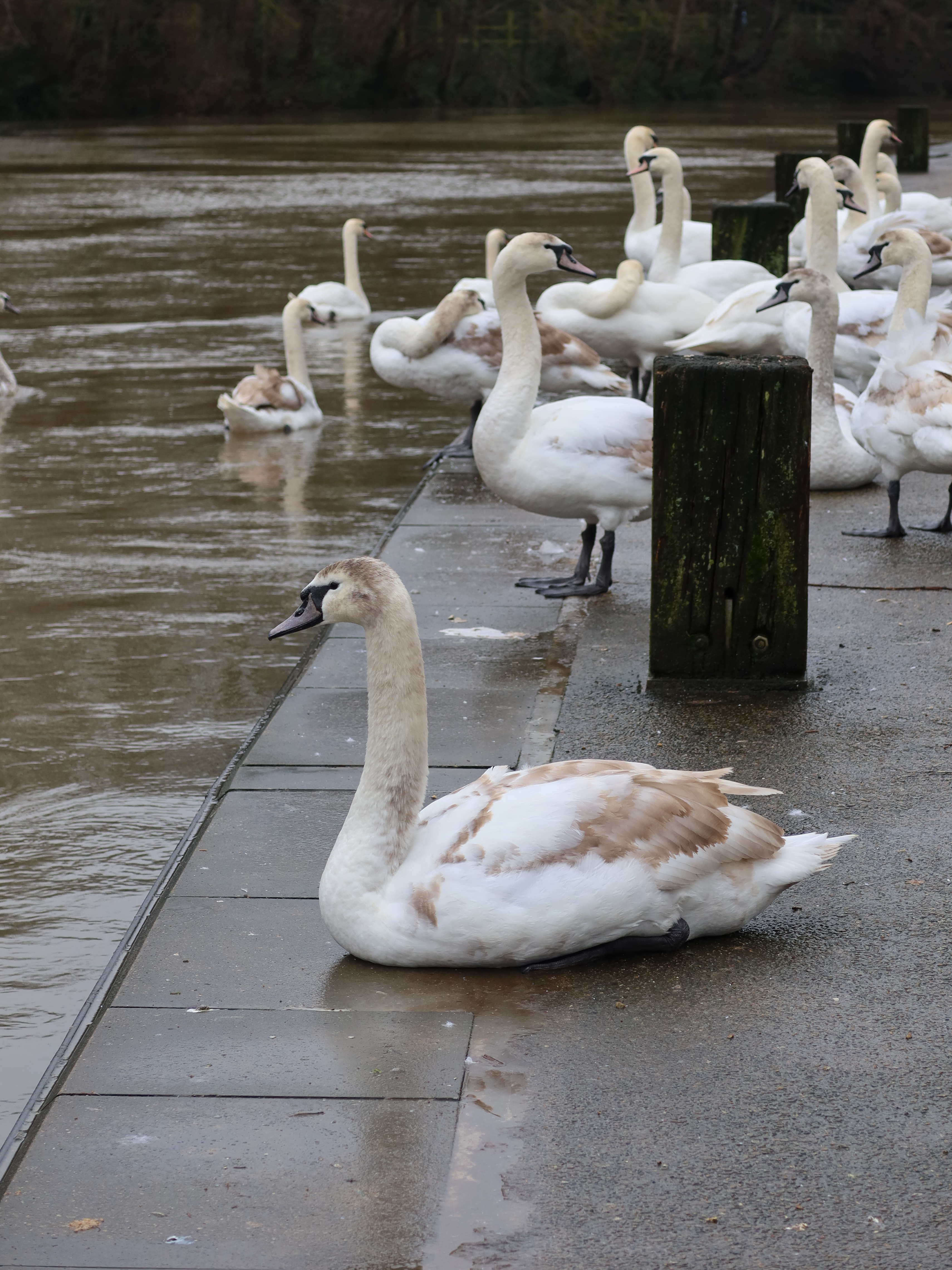 A photo taken on a Canon PowerShot G7 X Mark III compact camera