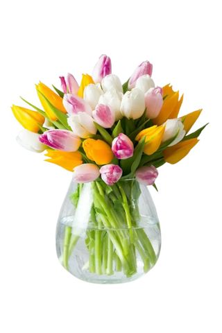 Appleyard London Springtime Tulips - best flower delivery services