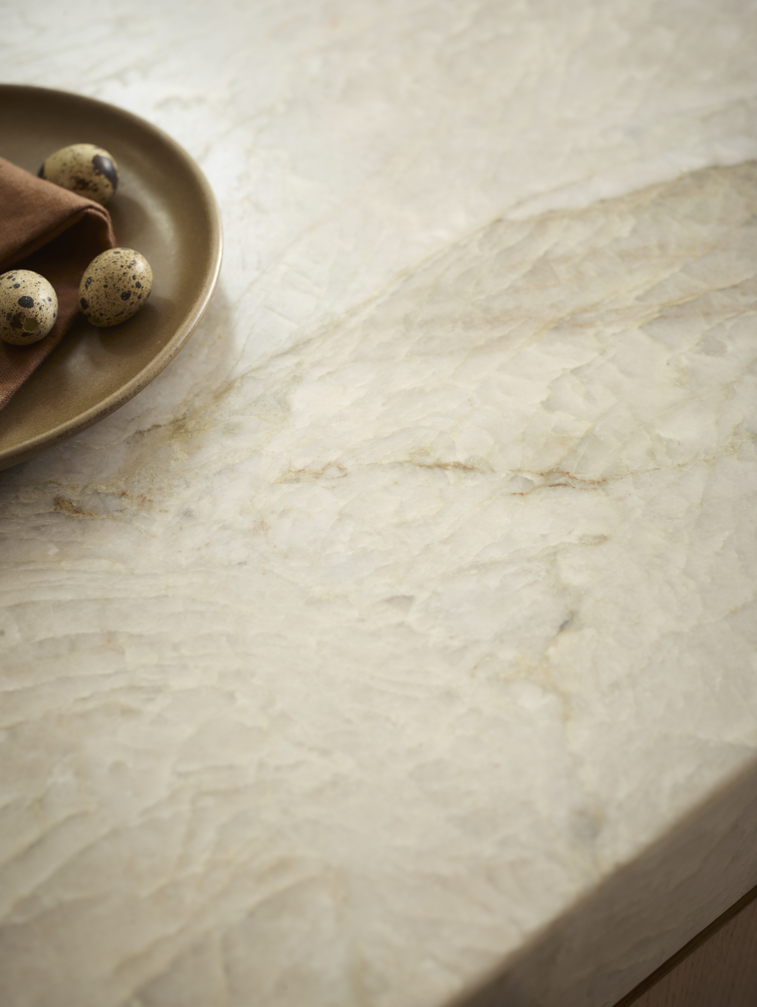 a close up of leathered quartzite countertop
