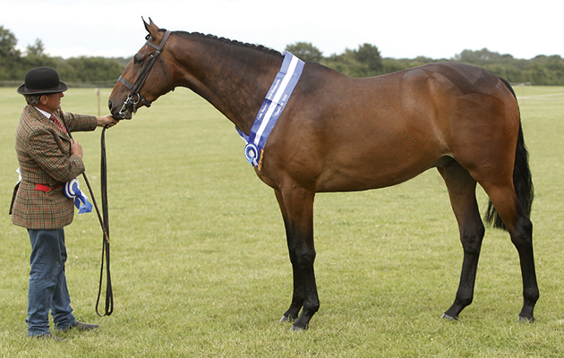 The Showing Register 2016