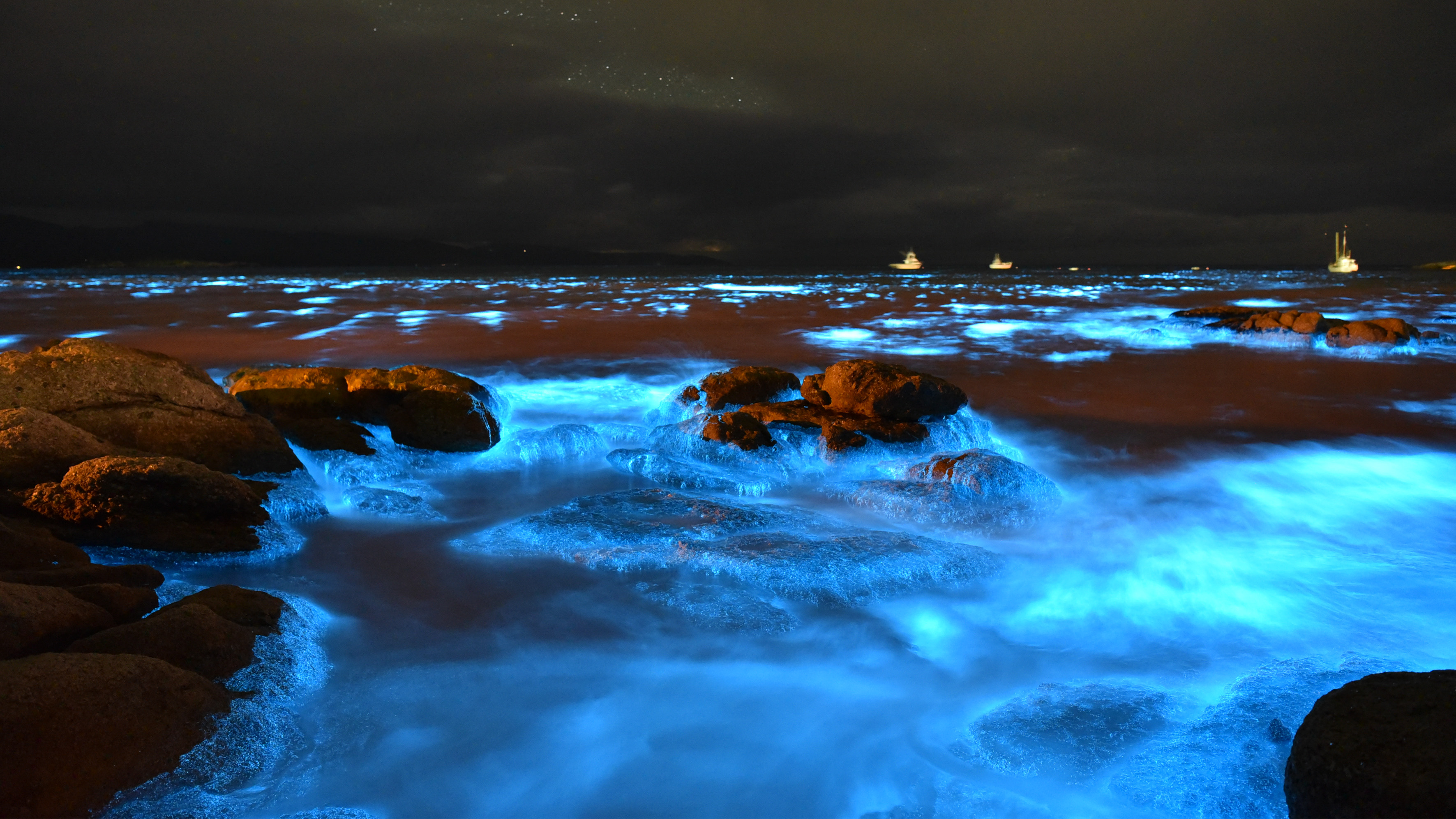 Bioluminescence