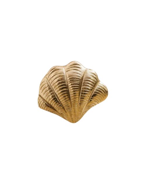 Curved Shell Knob, Lacquered Brass