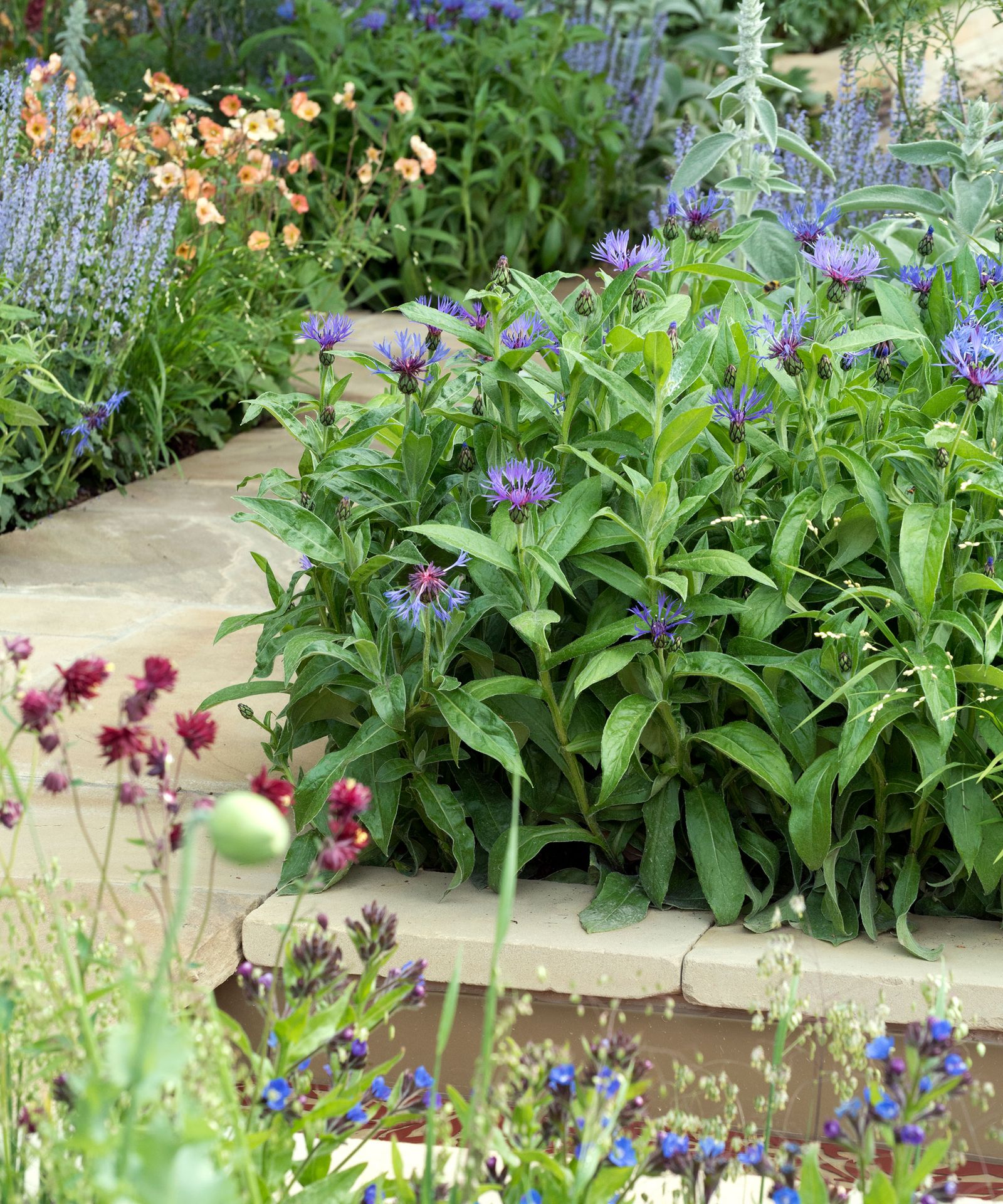 How and when to fertilize flower beds for lots of blooms Homes & Gardens