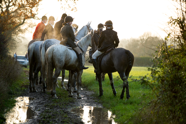 Avon Vale Hunt 29 11 2014