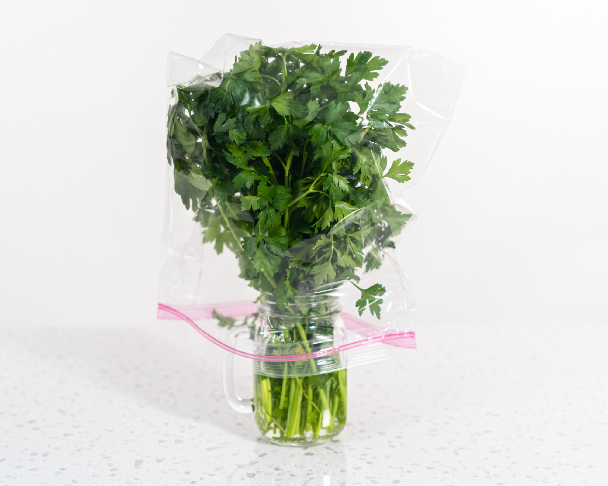 Parsley in jar with bag over top