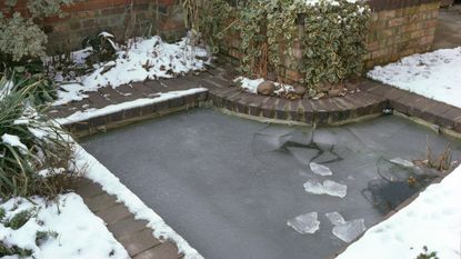 a frozen garden pond in winter