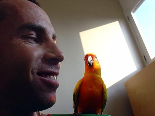 Joe's found a new friend