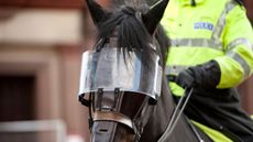 mounted unit