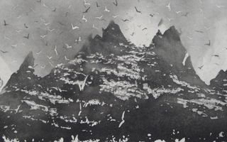 Aquatint of Little Skellig, Ireland, the world's largest gannet colony.