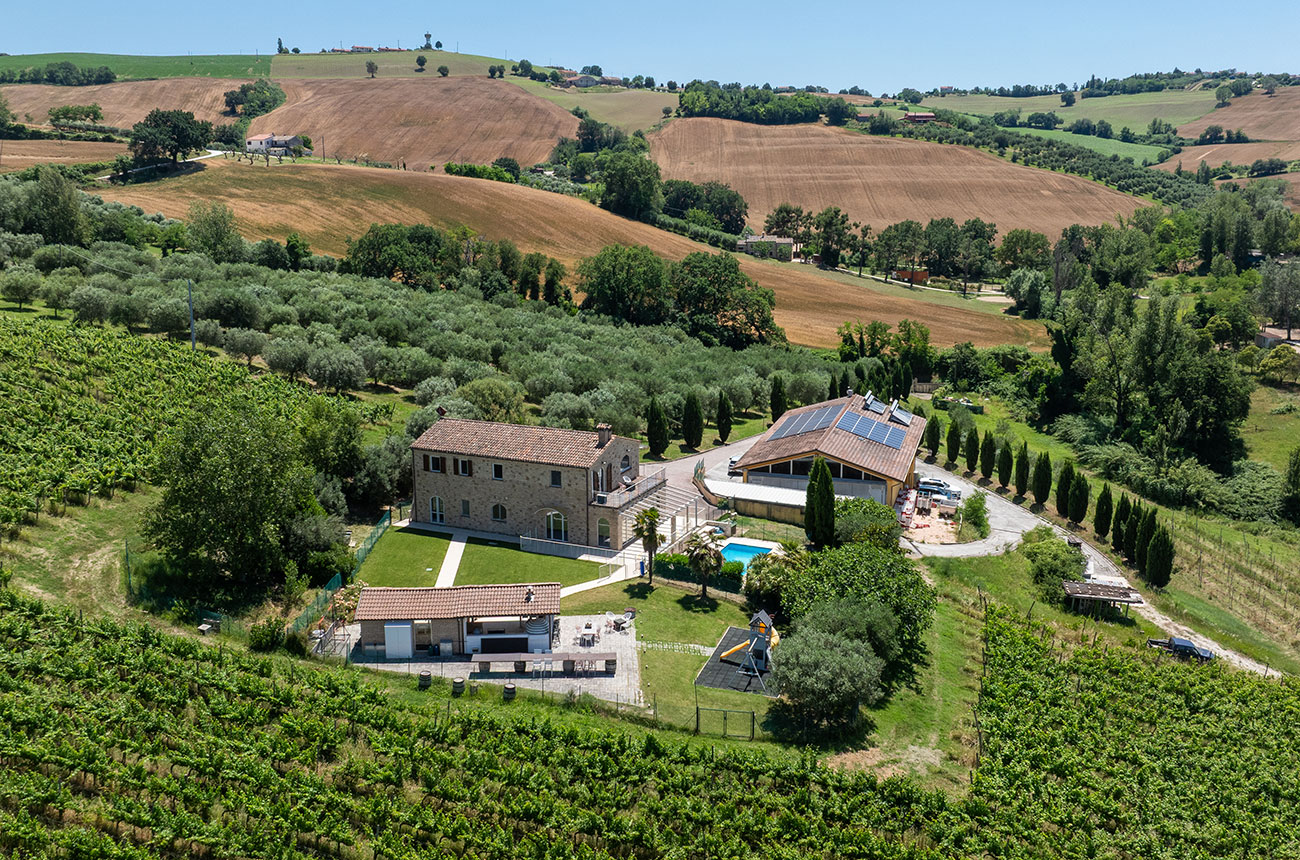 vineyard italy Sotheby's International Realty