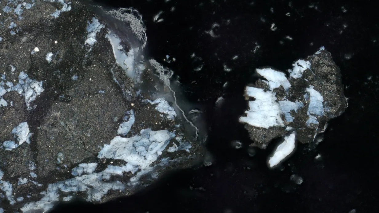 Phosphate in NASA's OSIRIS-REx asteroid sample suggests space rock Bennu hails from an ocean world