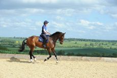 Piggy with OBOS COOLEY (I think, please check) at Piggy French's yard at Maidwell Lodge Farm, Maidwell, Northamptonshire, UK on 2nd June 2015