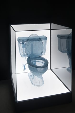Image of a toilet from the 'specimen series'