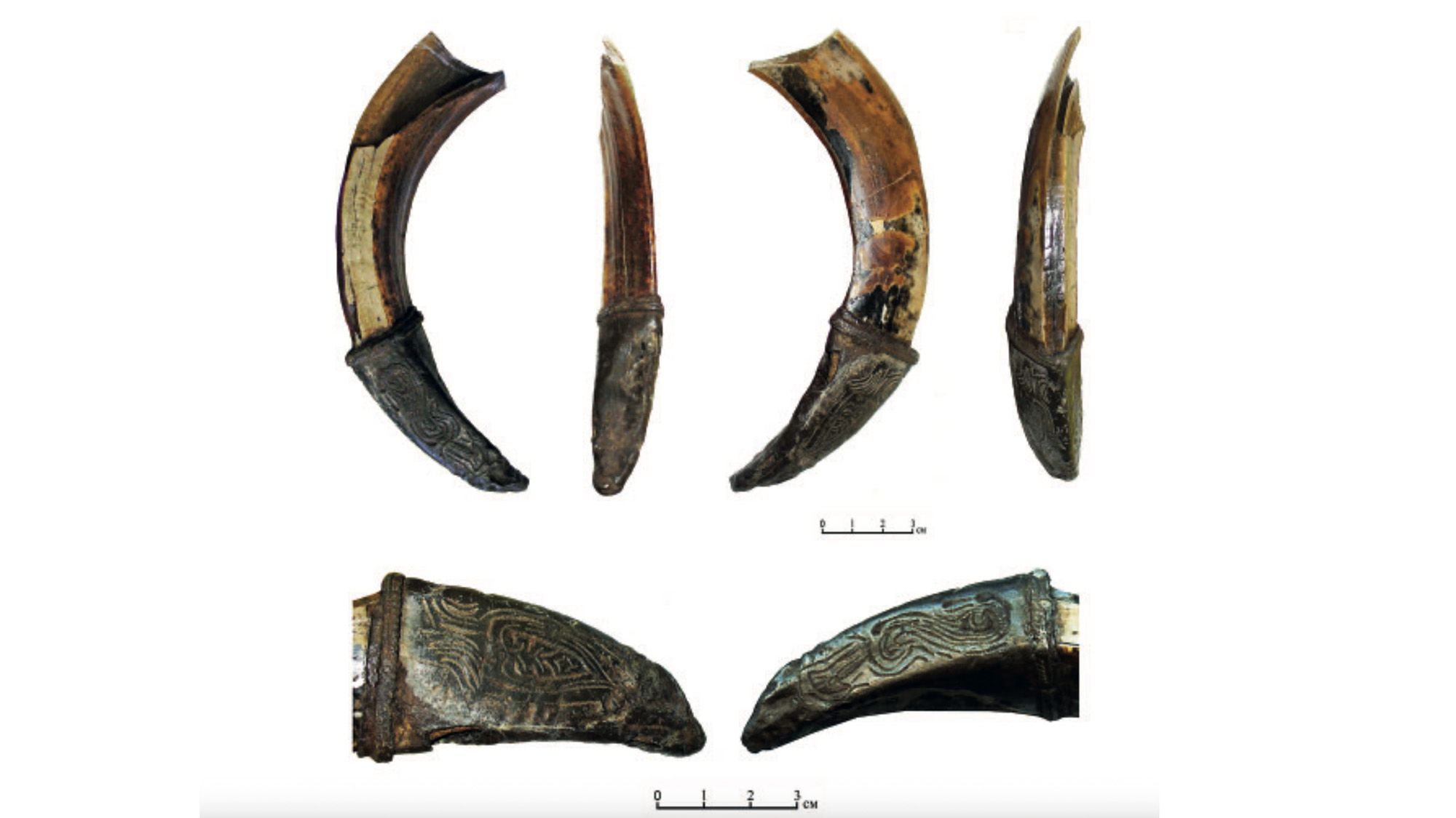 Decorated wild-boar tusk found in Russia may have been medieval warrior’s good-luck charm Decorated wild-boar tusk found in Russia may have been medieval warrior’s good-luck charm