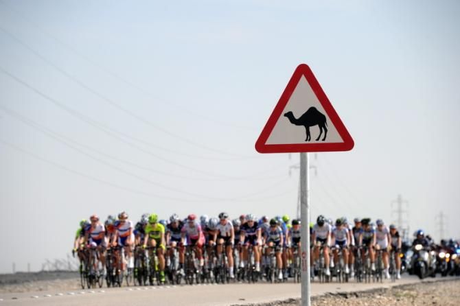 One of the local obstacles in Qatar