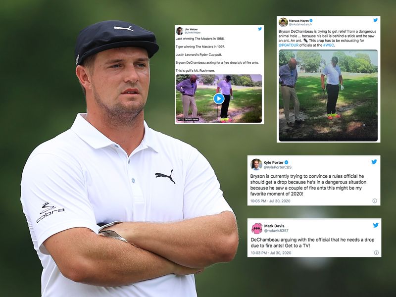 Social Media Reacts After DeChambeau Denied Free Drop From Red Ants ...