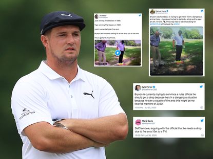 DeChambeau Denied Free Drop From Red Ants