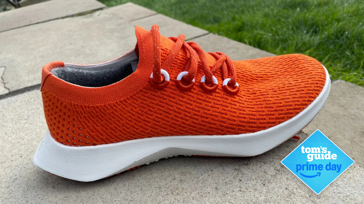 Allbirds Tree Dasher 2