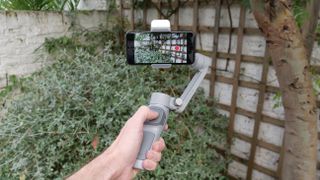 A hand holding a gimbal in a garden