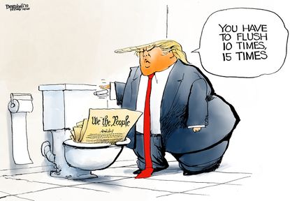 Political Cartoon U.S. Trump Impeachment Flush Constitution