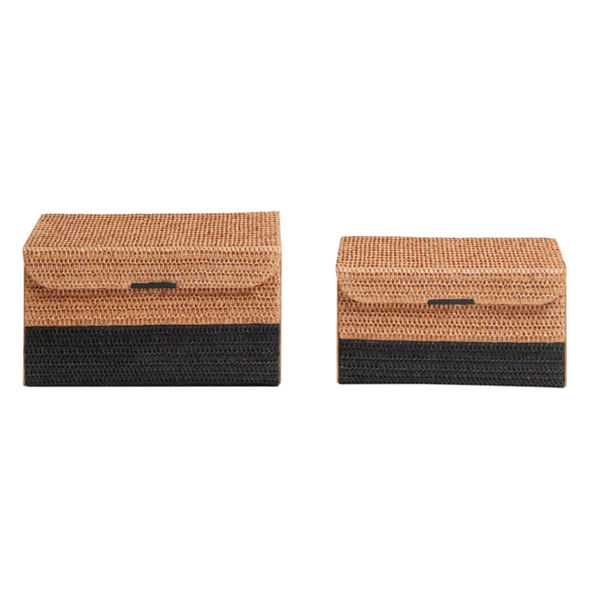 Set of 2 Natural Bronx Storage Trunks